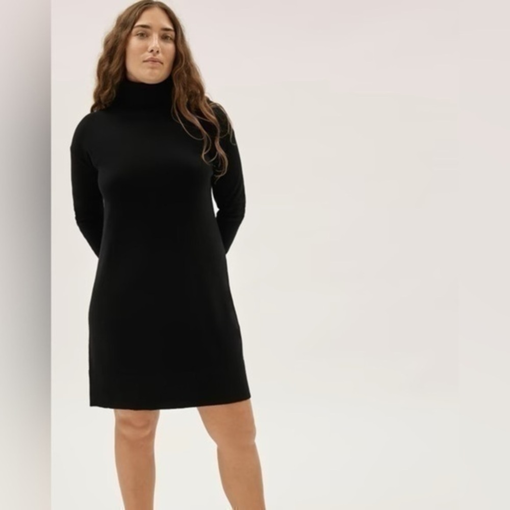 Everlane Cashmere Turtleneck Sweater Dress Black Size M Minimalist Luxury
